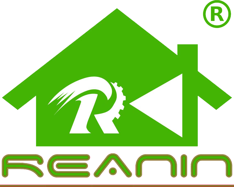 Reanin LOGO 商标.png